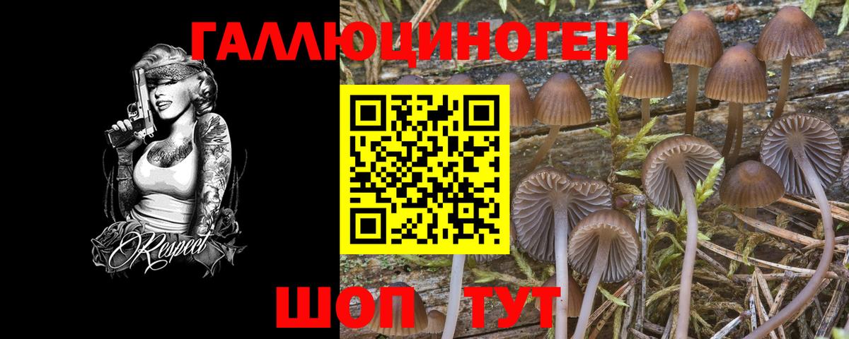 Псилоцибиновые грибы мицелий Новошахтинск