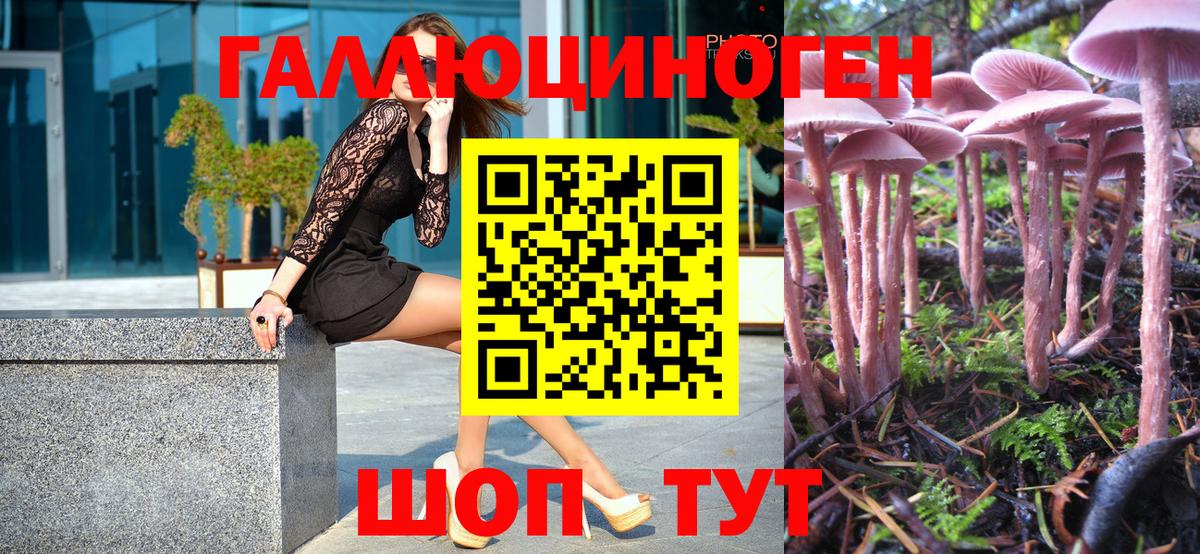 купить   Галлюциногенные грибы MAGIC MUSHROOMS  Вход с VPN  Новошахтинск 